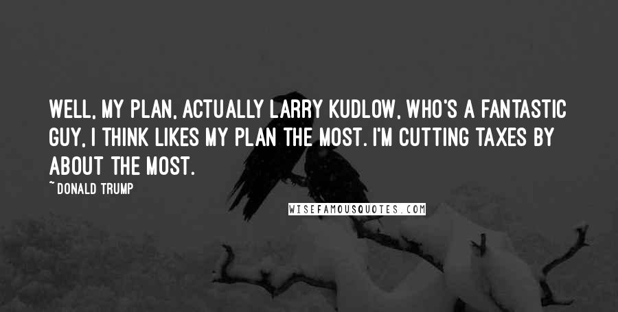 Donald Trump Quotes: Well, my plan, actually Larry Kudlow, who's a fantastic guy, I think likes my plan the most. I'm cutting taxes by about the most.