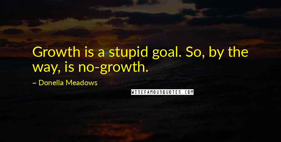 Donella Meadows Quotes: Growth is a stupid goal. So, by the way, is no-growth.
