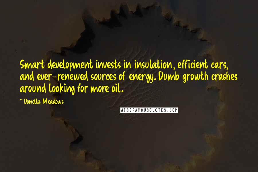 Donella Meadows Quotes: Smart development invests in insulation, efficient cars, and ever-renewed sources of energy. Dumb growth crashes around looking for more oil.