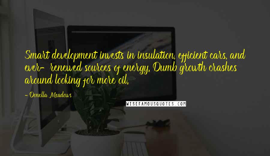 Donella Meadows Quotes: Smart development invests in insulation, efficient cars, and ever-renewed sources of energy. Dumb growth crashes around looking for more oil.