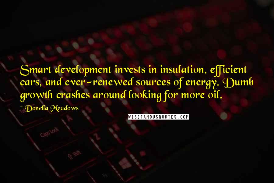 Donella Meadows Quotes: Smart development invests in insulation, efficient cars, and ever-renewed sources of energy. Dumb growth crashes around looking for more oil.