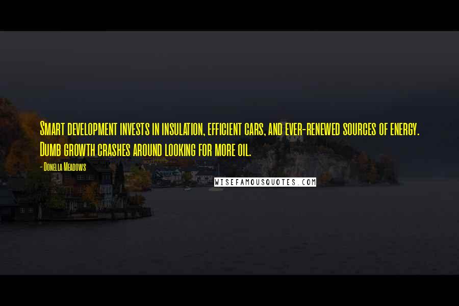 Donella Meadows Quotes: Smart development invests in insulation, efficient cars, and ever-renewed sources of energy. Dumb growth crashes around looking for more oil.