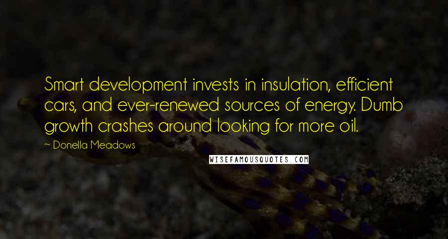 Donella Meadows Quotes: Smart development invests in insulation, efficient cars, and ever-renewed sources of energy. Dumb growth crashes around looking for more oil.