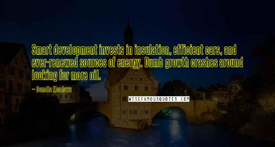 Donella Meadows Quotes: Smart development invests in insulation, efficient cars, and ever-renewed sources of energy. Dumb growth crashes around looking for more oil.