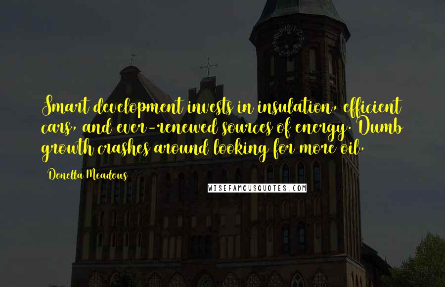 Donella Meadows Quotes: Smart development invests in insulation, efficient cars, and ever-renewed sources of energy. Dumb growth crashes around looking for more oil.