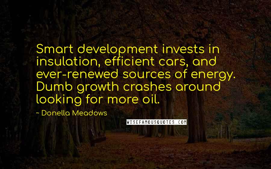 Donella Meadows Quotes: Smart development invests in insulation, efficient cars, and ever-renewed sources of energy. Dumb growth crashes around looking for more oil.