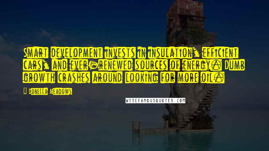 Donella Meadows Quotes: Smart development invests in insulation, efficient cars, and ever-renewed sources of energy. Dumb growth crashes around looking for more oil.