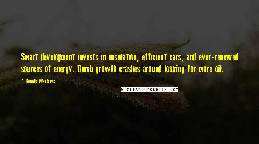 Donella Meadows Quotes: Smart development invests in insulation, efficient cars, and ever-renewed sources of energy. Dumb growth crashes around looking for more oil.