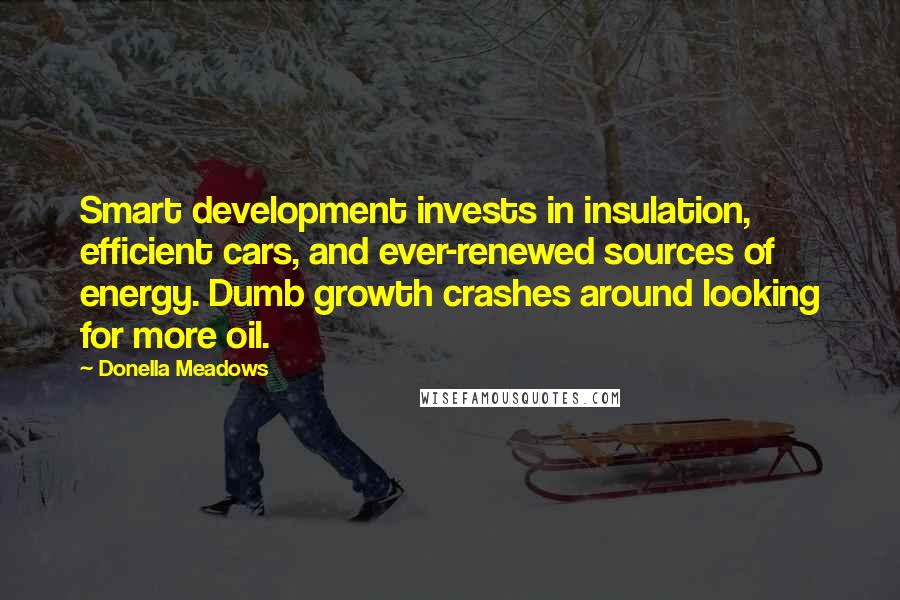 Donella Meadows Quotes: Smart development invests in insulation, efficient cars, and ever-renewed sources of energy. Dumb growth crashes around looking for more oil.