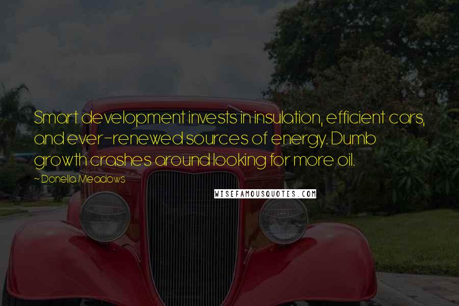 Donella Meadows Quotes: Smart development invests in insulation, efficient cars, and ever-renewed sources of energy. Dumb growth crashes around looking for more oil.