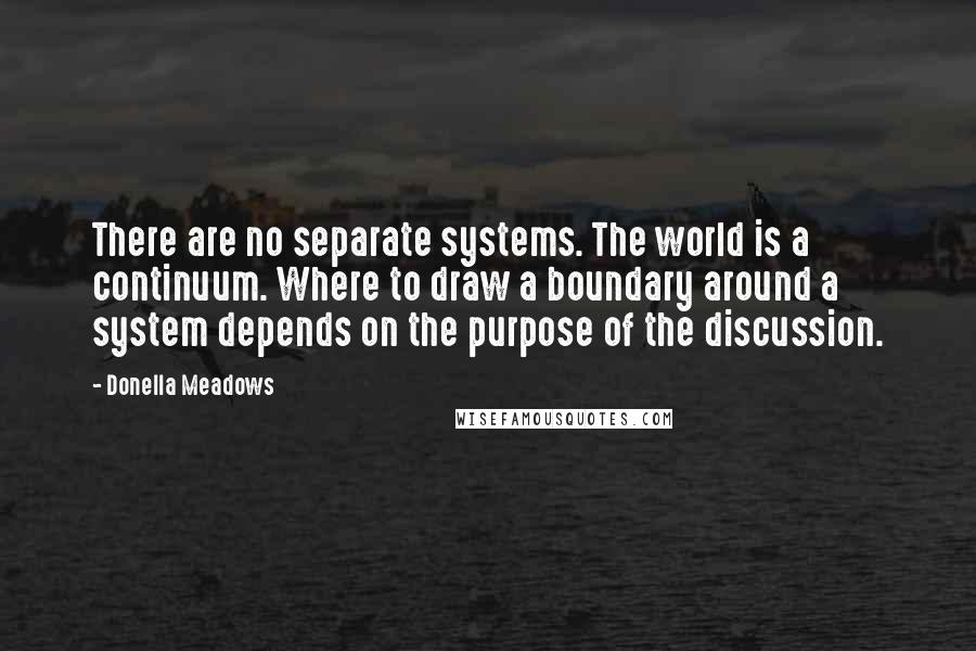 Donella Meadows Quotes: There are no separate systems. The world is a continuum. Where to draw a boundary around a system depends on the purpose of the discussion.