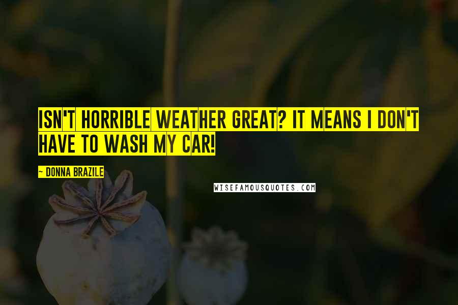 Donna Brazile Quotes: Isn't horrible weather great? It means I don't have to wash my car!