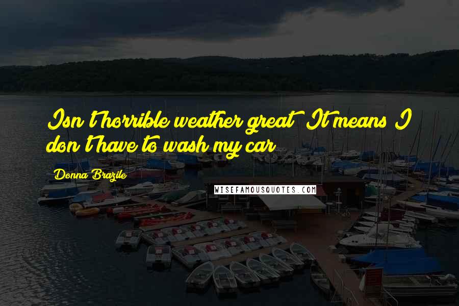 Donna Brazile Quotes: Isn't horrible weather great? It means I don't have to wash my car!