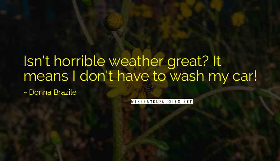 Donna Brazile Quotes: Isn't horrible weather great? It means I don't have to wash my car!