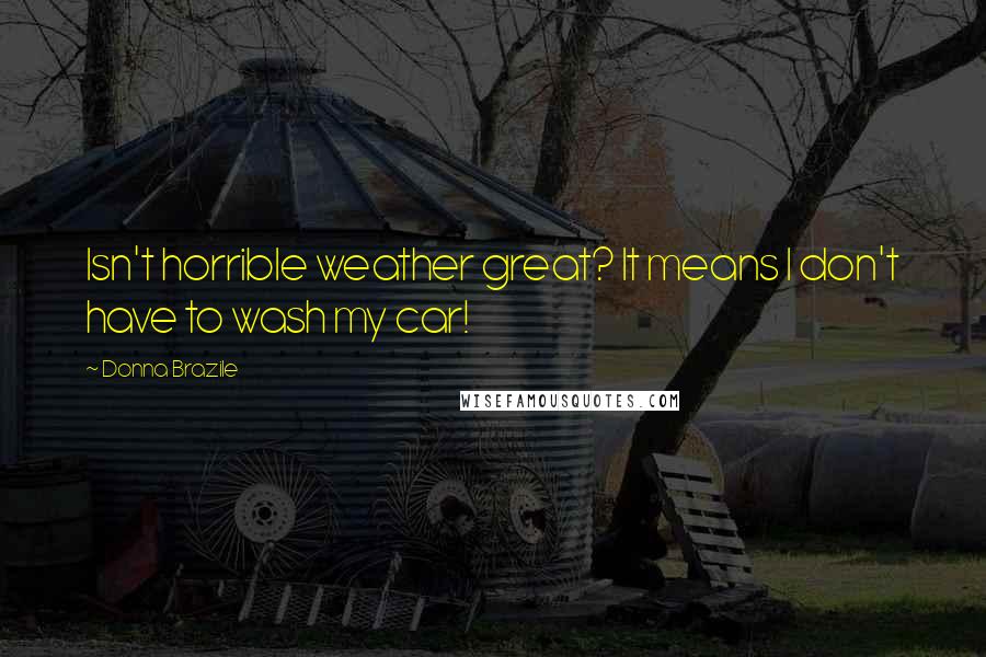 Donna Brazile Quotes: Isn't horrible weather great? It means I don't have to wash my car!