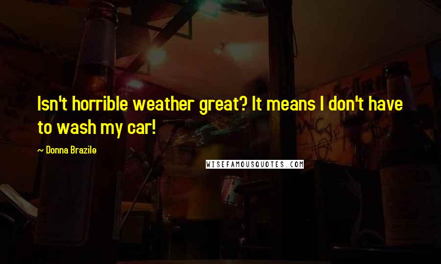 Donna Brazile Quotes: Isn't horrible weather great? It means I don't have to wash my car!