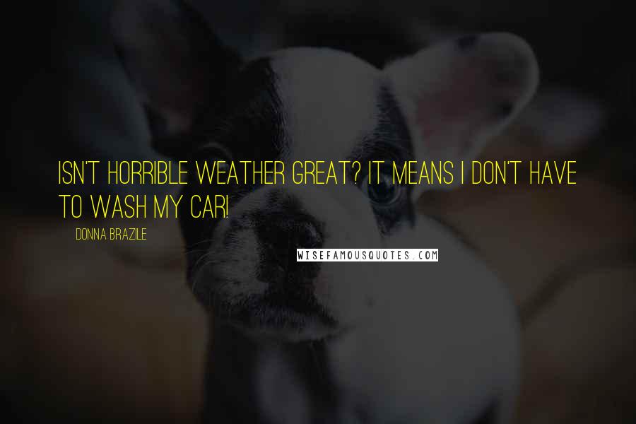 Donna Brazile Quotes: Isn't horrible weather great? It means I don't have to wash my car!