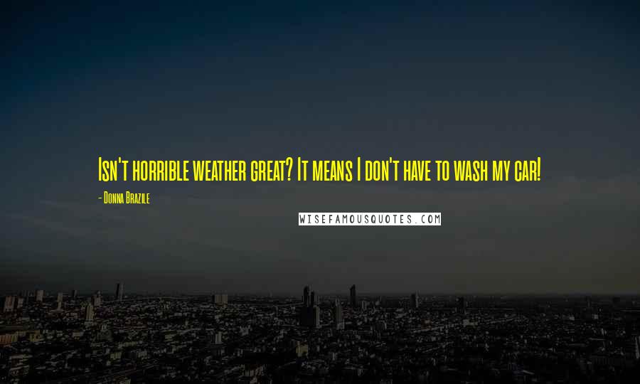 Donna Brazile Quotes: Isn't horrible weather great? It means I don't have to wash my car!