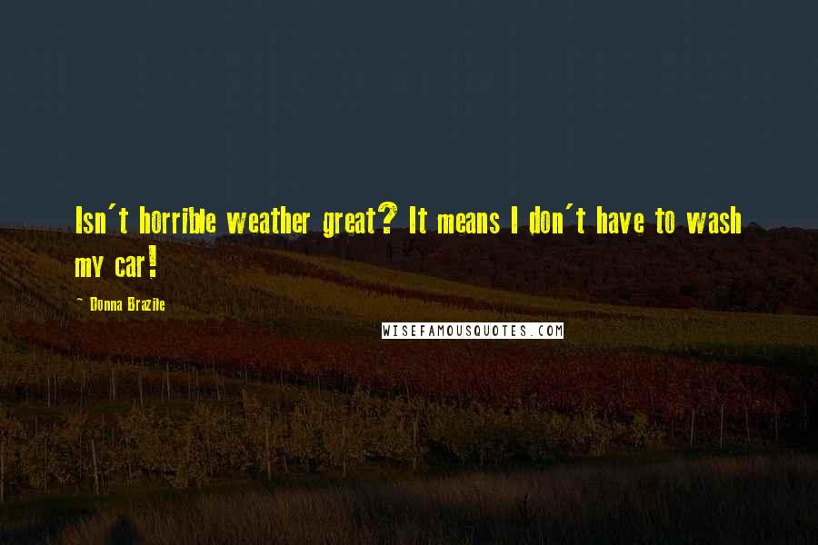 Donna Brazile Quotes: Isn't horrible weather great? It means I don't have to wash my car!