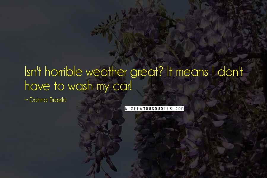 Donna Brazile Quotes: Isn't horrible weather great? It means I don't have to wash my car!