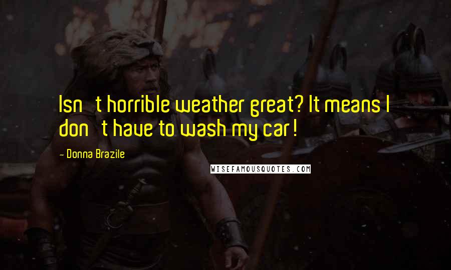 Donna Brazile Quotes: Isn't horrible weather great? It means I don't have to wash my car!