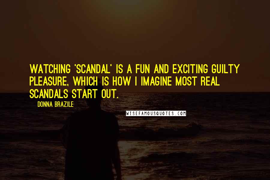 Donna Brazile Quotes: Watching 'Scandal' is a fun and exciting guilty pleasure, which is how I imagine most real scandals start out.