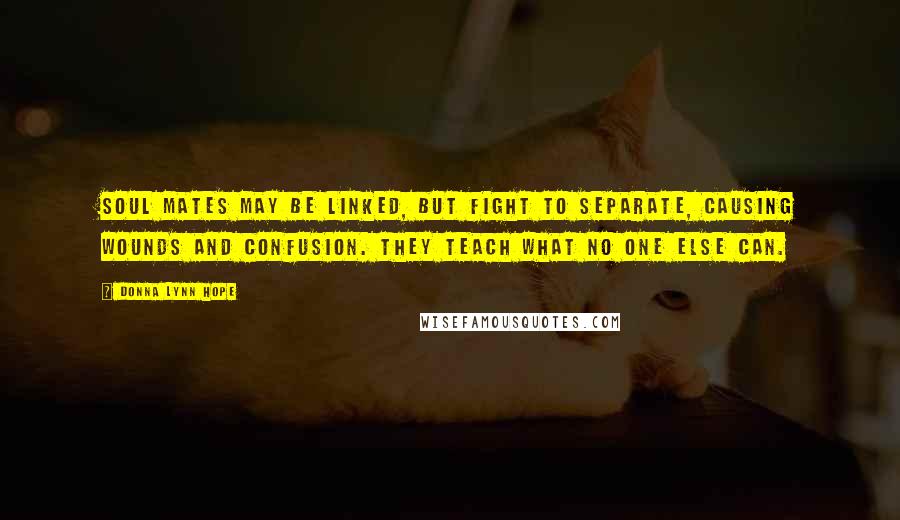 Donna Lynn Hope Quotes: Soul mates may be linked, but fight to separate, causing wounds and confusion. They teach what no one else can.