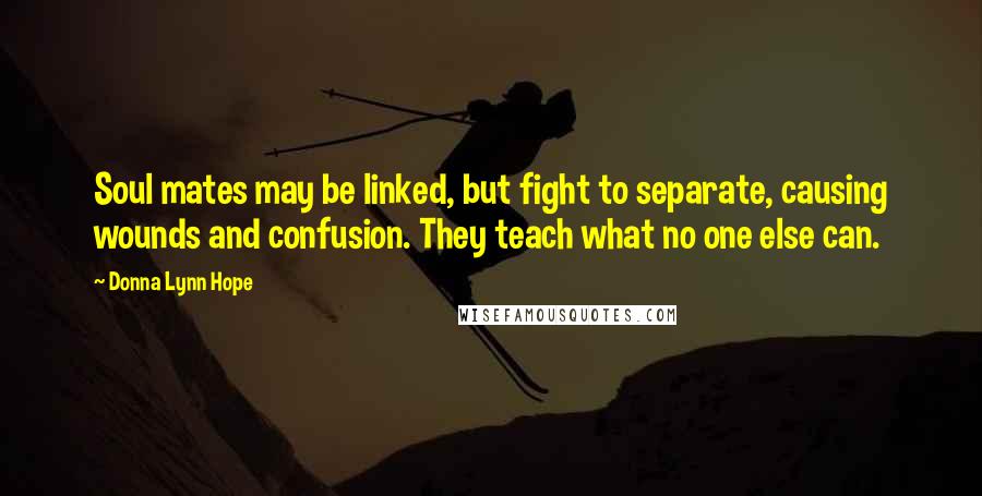 Donna Lynn Hope Quotes: Soul mates may be linked, but fight to separate, causing wounds and confusion. They teach what no one else can.