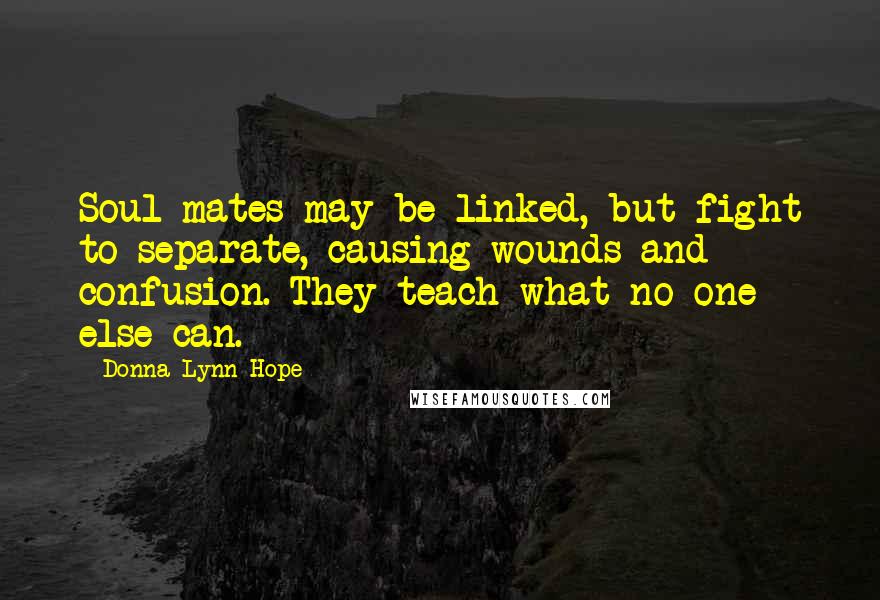 Donna Lynn Hope Quotes: Soul mates may be linked, but fight to separate, causing wounds and confusion. They teach what no one else can.