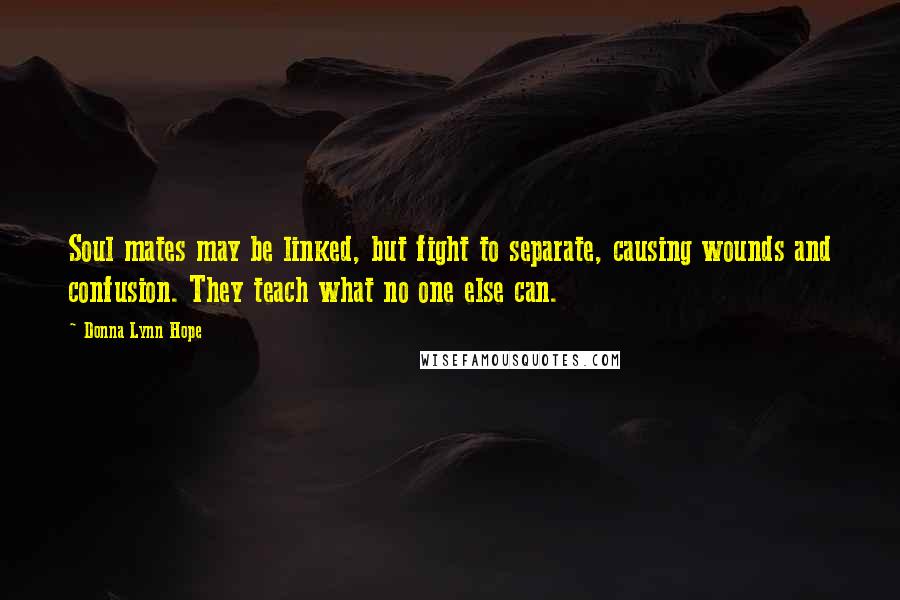 Donna Lynn Hope Quotes: Soul mates may be linked, but fight to separate, causing wounds and confusion. They teach what no one else can.