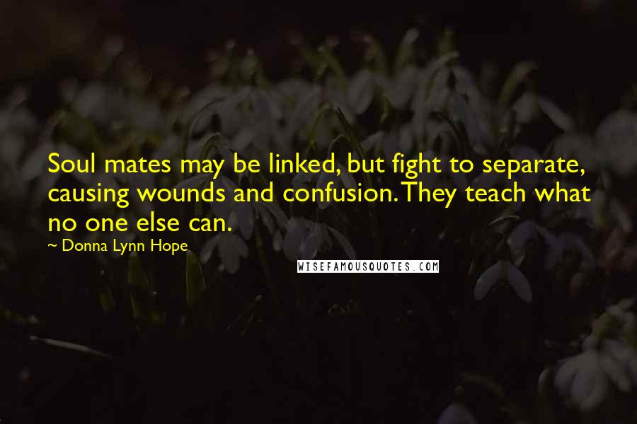 Donna Lynn Hope Quotes: Soul mates may be linked, but fight to separate, causing wounds and confusion. They teach what no one else can.