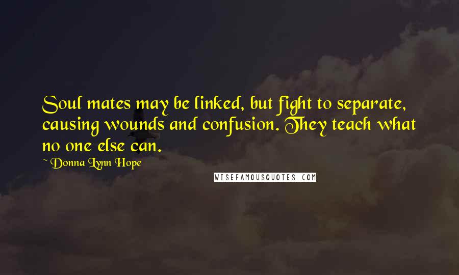 Donna Lynn Hope Quotes: Soul mates may be linked, but fight to separate, causing wounds and confusion. They teach what no one else can.