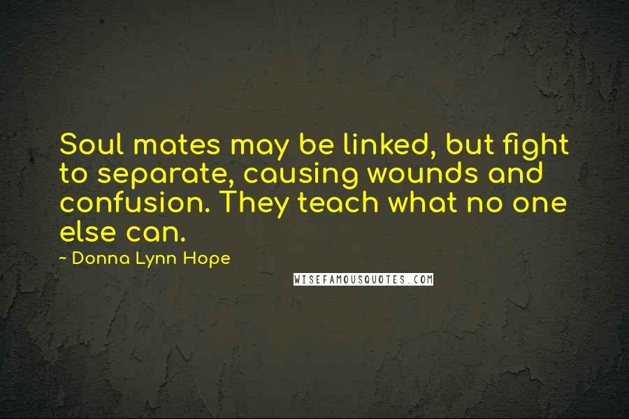 Donna Lynn Hope Quotes: Soul mates may be linked, but fight to separate, causing wounds and confusion. They teach what no one else can.