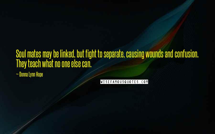 Donna Lynn Hope Quotes: Soul mates may be linked, but fight to separate, causing wounds and confusion. They teach what no one else can.