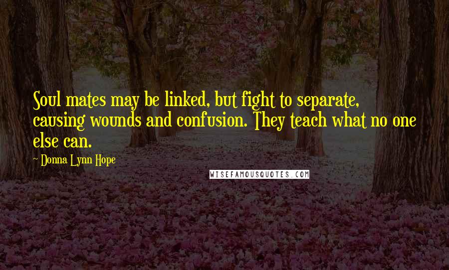 Donna Lynn Hope Quotes: Soul mates may be linked, but fight to separate, causing wounds and confusion. They teach what no one else can.