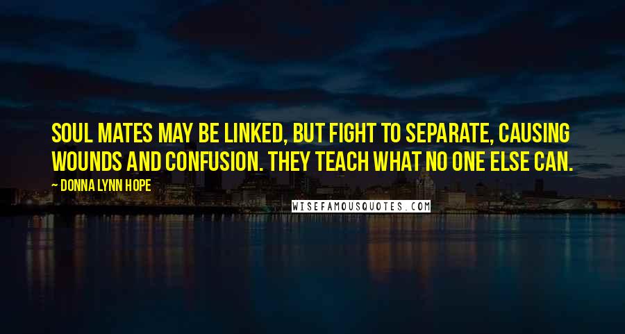 Donna Lynn Hope Quotes: Soul mates may be linked, but fight to separate, causing wounds and confusion. They teach what no one else can.