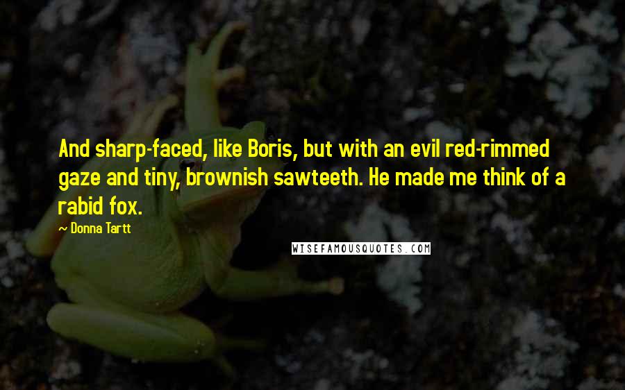 Donna Tartt Quotes: And sharp-faced, like Boris, but with an evil red-rimmed gaze and tiny, brownish sawteeth. He made me think of a rabid fox.