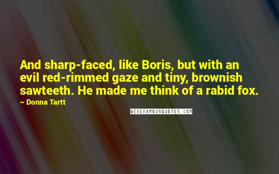 Donna Tartt Quotes: And sharp-faced, like Boris, but with an evil red-rimmed gaze and tiny, brownish sawteeth. He made me think of a rabid fox.