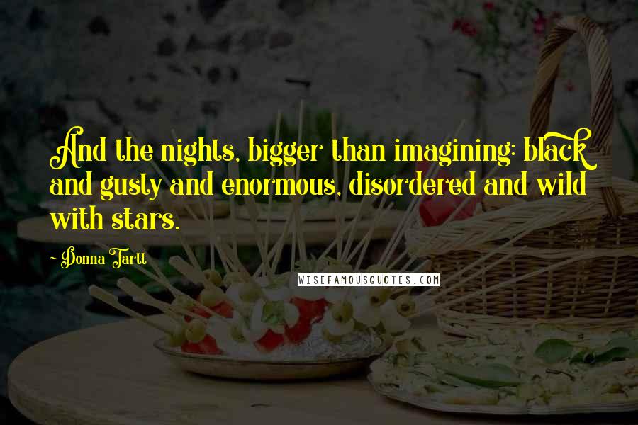 Donna Tartt Quotes: And the nights, bigger than imagining: black and gusty and enormous, disordered and wild with stars.