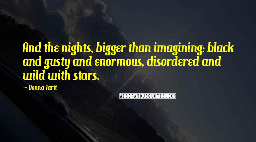 Donna Tartt Quotes: And the nights, bigger than imagining: black and gusty and enormous, disordered and wild with stars.