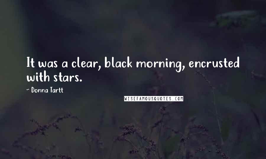 Donna Tartt Quotes: It was a clear, black morning, encrusted with stars.