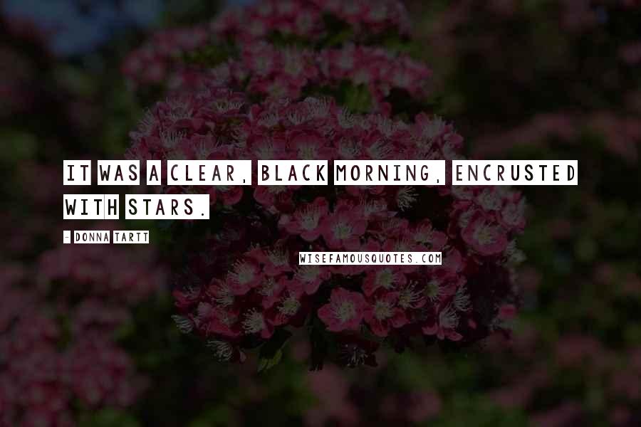 Donna Tartt Quotes: It was a clear, black morning, encrusted with stars.