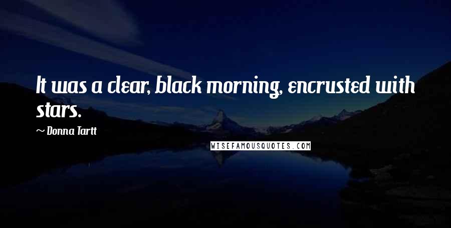 Donna Tartt Quotes: It was a clear, black morning, encrusted with stars.