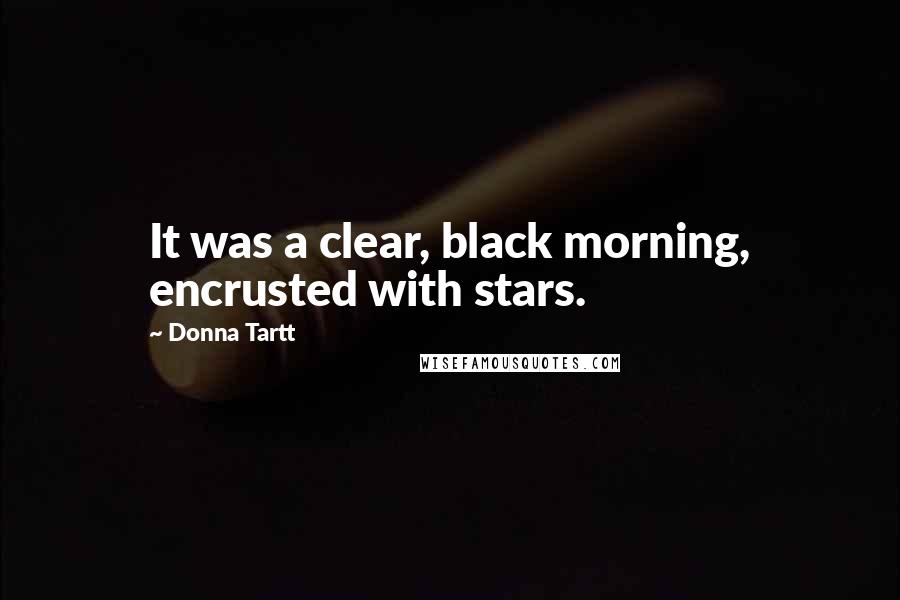 Donna Tartt Quotes: It was a clear, black morning, encrusted with stars.