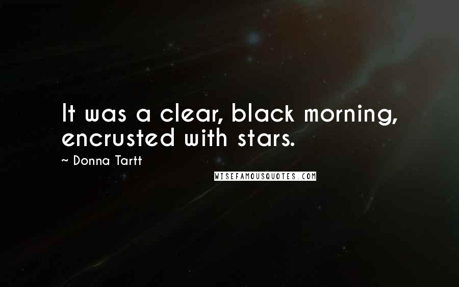 Donna Tartt Quotes: It was a clear, black morning, encrusted with stars.