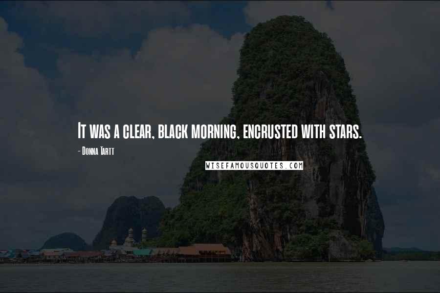 Donna Tartt Quotes: It was a clear, black morning, encrusted with stars.