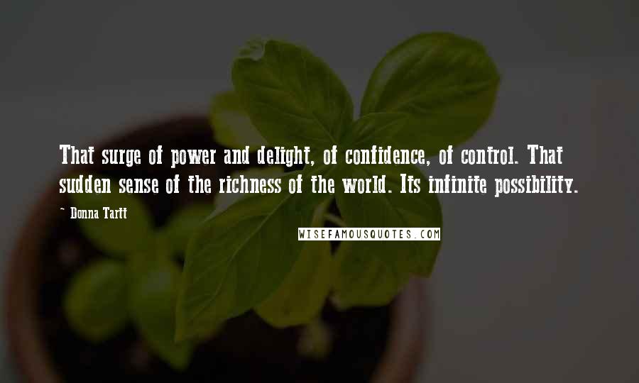 Donna Tartt Quotes: That surge of power and delight, of confidence, of control. That sudden sense of the richness of the world. Its infinite possibility.