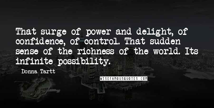 Donna Tartt Quotes: That surge of power and delight, of confidence, of control. That sudden sense of the richness of the world. Its infinite possibility.