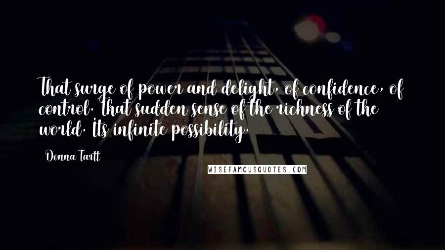 Donna Tartt Quotes: That surge of power and delight, of confidence, of control. That sudden sense of the richness of the world. Its infinite possibility.