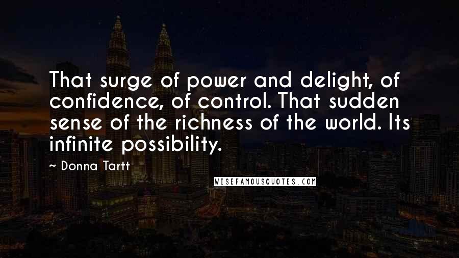 Donna Tartt Quotes: That surge of power and delight, of confidence, of control. That sudden sense of the richness of the world. Its infinite possibility.